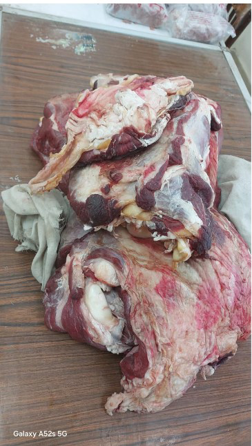 في أسيوط :ضبط لحوم فاسدة وتحرير 210 محضر خلال حملات على الأسواق والمخابز